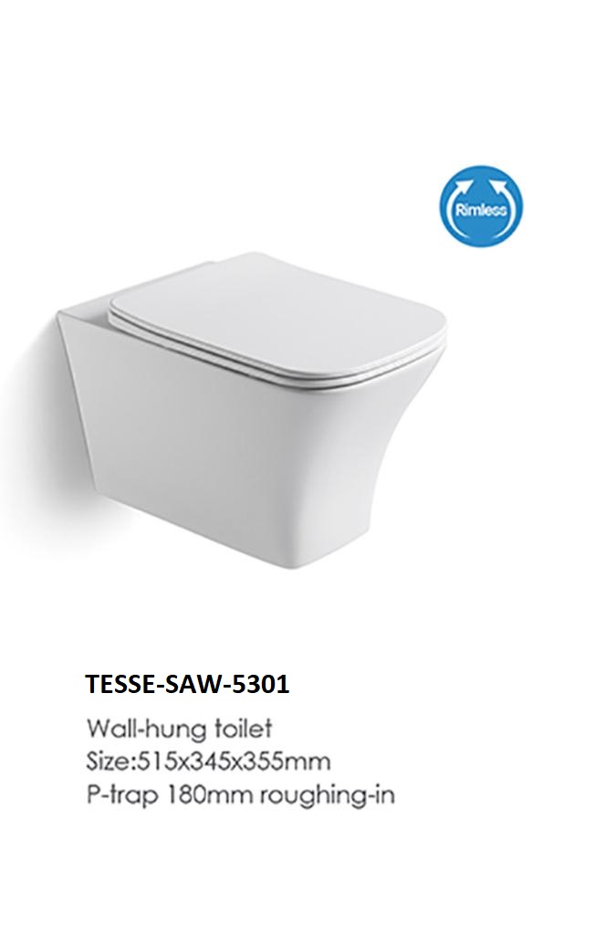 TESSE-SAW-5301